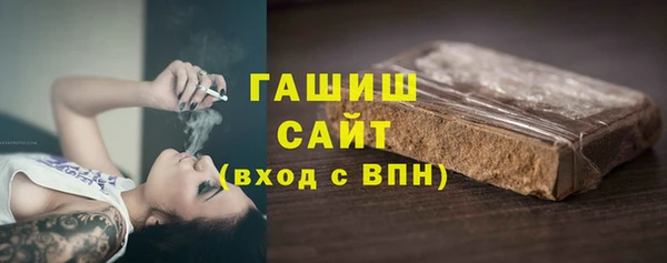 СК Туринск