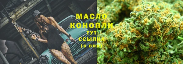 хмурый Богородицк
