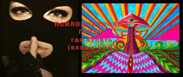 хмурый Богородицк