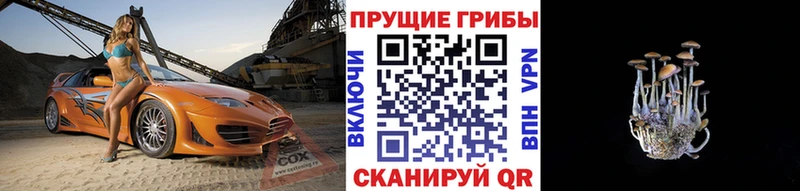 Галлюциногенные грибы Cubensis  Купить закладки  Райчихинск 